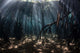 Beams Sunlight Filter among Wall Decal Design 2