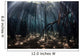 Beams Sunlight Filter among Wall Decal Design 2