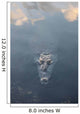Large American Crocodile Surfaces Wall Decal Design 3