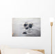 Large American Crocodile Surfaces Wall Decal Design 2