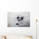 Large American Crocodile Surfaces Wall Decal Design 2