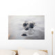 Large American Crocodile Surfaces Wall Decal Design 2