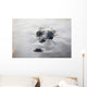 Large American Crocodile Surfaces Wall Decal Design 2