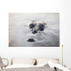 Large American Crocodile Surfaces Wall Decal Design 2