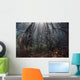 Beams Sunlight Filter among Wall Decal Design 1