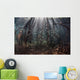 Beams Sunlight Filter among Wall Decal Design 1