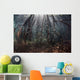 Beams Sunlight Filter among Wall Decal Design 1