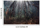 Beams Sunlight Filter among Wall Decal Design 1