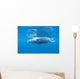 Young Humpback Whale Surfaces Wall Decal
