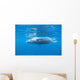 Young Humpback Whale Surfaces Wall Decal