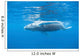 Young Humpback Whale Surfaces Wall Decal