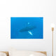 Humpback Whales Swim Clear Wall Decal