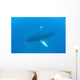 Humpback Whales Swim Clear Wall Decal