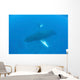 Humpback Whales Swim Clear Wall Decal