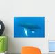 Humpback Whale Mother and Wall Decal Design 2