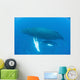 Humpback Whale Mother and Wall Decal Design 2