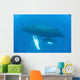 Humpback Whale Mother and Wall Decal Design 2