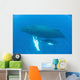 Humpback Whale Mother and Wall Decal Design 2
