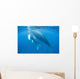 Humpback Whale Mother and Wall Decal Design 1