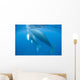 Humpback Whale Mother and Wall Decal Design 1