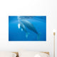 Humpback Whale Mother and Wall Decal Design 1