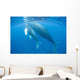Humpback Whale Mother and Wall Decal Design 1