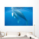 Humpback Whale Mother and Wall Decal Design 1