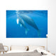 Humpback Whale Mother and Wall Decal Design 1