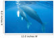 Humpback Whale Mother and Wall Decal Design 1