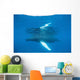 Humpback Whale Surfaces to Wall Decal Design 3