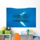 Humpback Whale Surfaces to Wall Decal Design 3