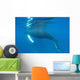 Humpback Whale Surfaces to Wall Decal Design 2