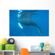 Humpback Whale Surfaces to Wall Decal Design 2
