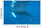 Humpback Whale Surfaces to Wall Decal Design 2