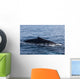 Humpback Whale Surfaces to Wall Decal Design 1