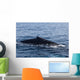 Humpback Whale Surfaces to Wall Decal Design 1