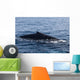 Humpback Whale Surfaces to Wall Decal Design 1
