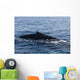 Humpback Whale Surfaces to Wall Decal Design 1