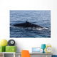 Humpback Whale Surfaces to Wall Decal Design 1