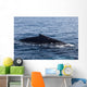 Humpback Whale Surfaces to Wall Decal Design 1