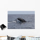 Humpback Whale Dives Caribbean Wall Decal