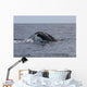 Humpback Whale Dives Caribbean Wall Decal