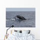 Humpback Whale Dives Caribbean Wall Decal