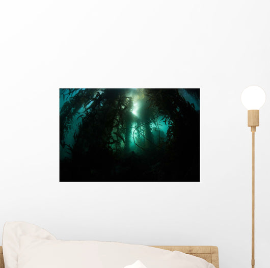 Giant Kelp Macrocystis Pyrifera Wall Decal Design 5