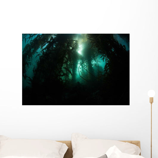 Giant Kelp Macrocystis Pyrifera Wall Decal Design 5
