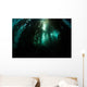 Giant Kelp Macrocystis Pyrifera Wall Decal Design 5