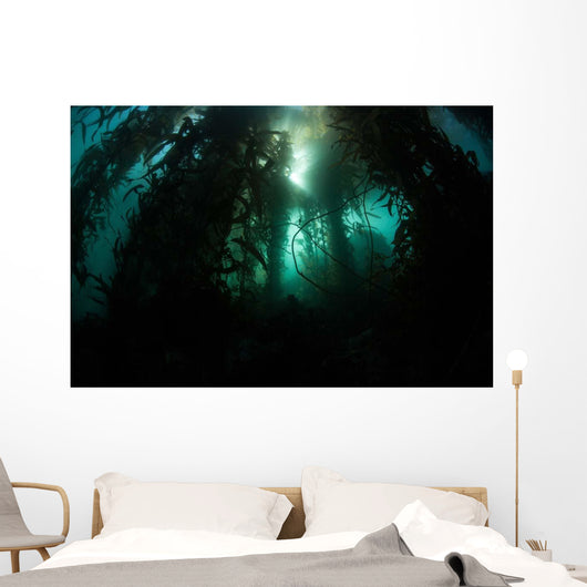 Giant Kelp Macrocystis Pyrifera Wall Decal Design 5