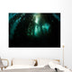 Giant Kelp Macrocystis Pyrifera Wall Decal Design 5
