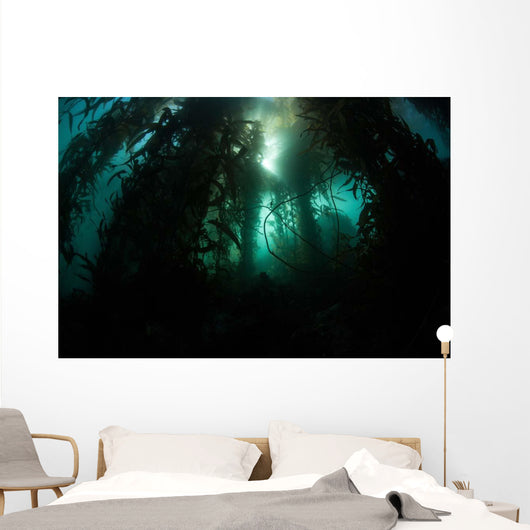 Giant Kelp Macrocystis Pyrifera Wall Decal Design 5