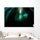Giant Kelp Macrocystis Pyrifera Wall Decal Design 5